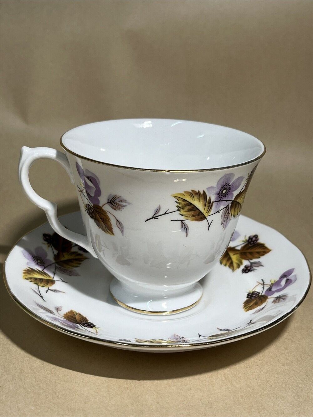 Vintage Queen Anne‎ Bone China Teacup and Saucer Set Autumn Leaves #8344 England